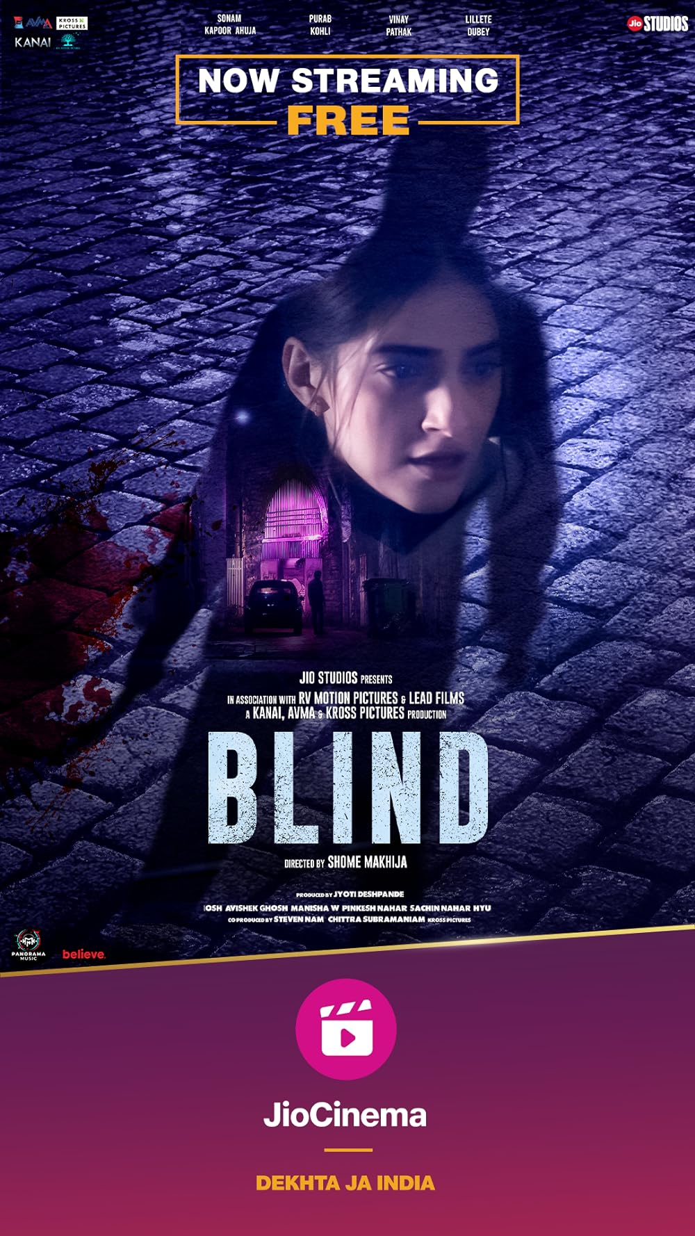 Download Blind (2023) Hindi Movie WEB-DL || 480p [400MB] || 720p [1.3GB]  || 1080p [2.8GB]