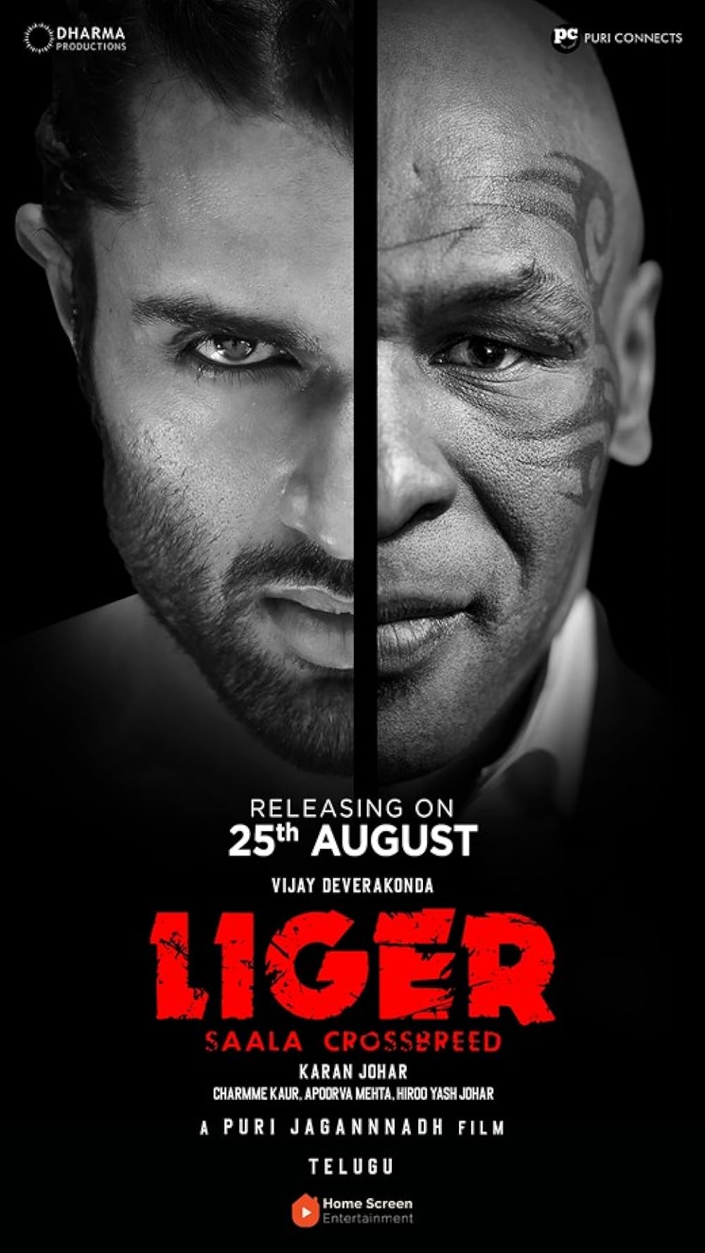 Download Liger (2022) Dual Audio {Hindi-Telugu} Movie WEB-DL || 480p [550MB] || 720p [1.33GB]