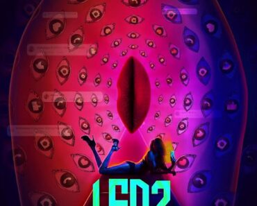 Download LSD 2: Love, Sex Aur Dhokha 2 (2024) Hindi Movie WEB-DL || 480p [400MB] || 720p [1GB]|| 1080p [2GB]